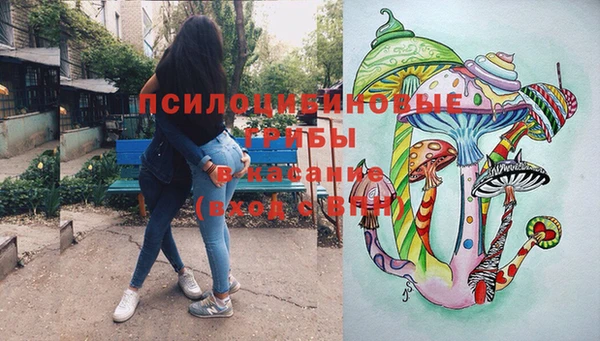 твердый Аркадак