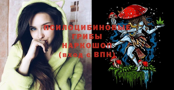прущие грибы Сатка