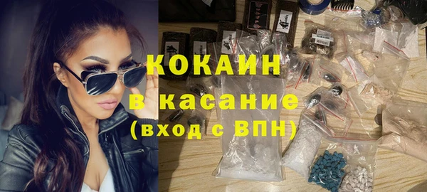 твердый Аркадак