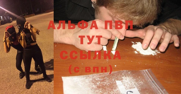 крисы Армянск