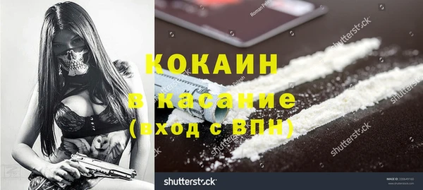 крисы Армянск