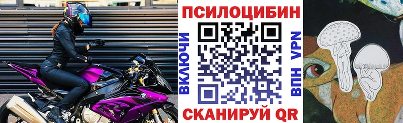 мориарти наркотические препараты  Сельцо  Галлюциногенные грибы MAGIC MUSHROOMS 